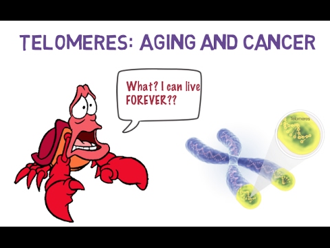 aging1