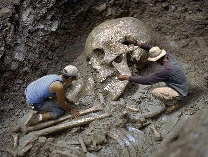 giant skull