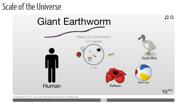 scale1